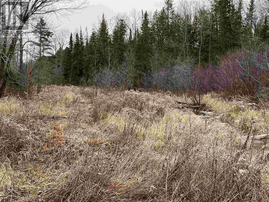 Lot 2 & 3 Con Nelson Dr, St. Joseph Island, Ontario  P0R 1G0 - Photo 11 - SM261323
