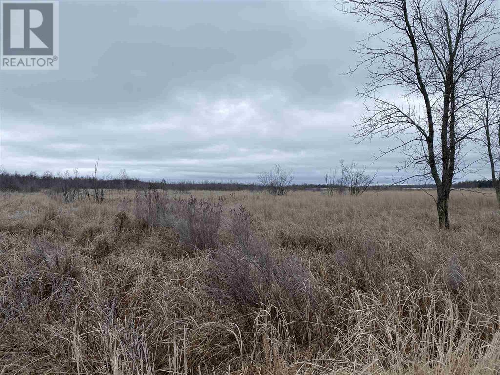 Lot 2 & 3 Con Nelson Dr, St. Joseph Island, Ontario  P0R 1G0 - Photo 13 - SM261323