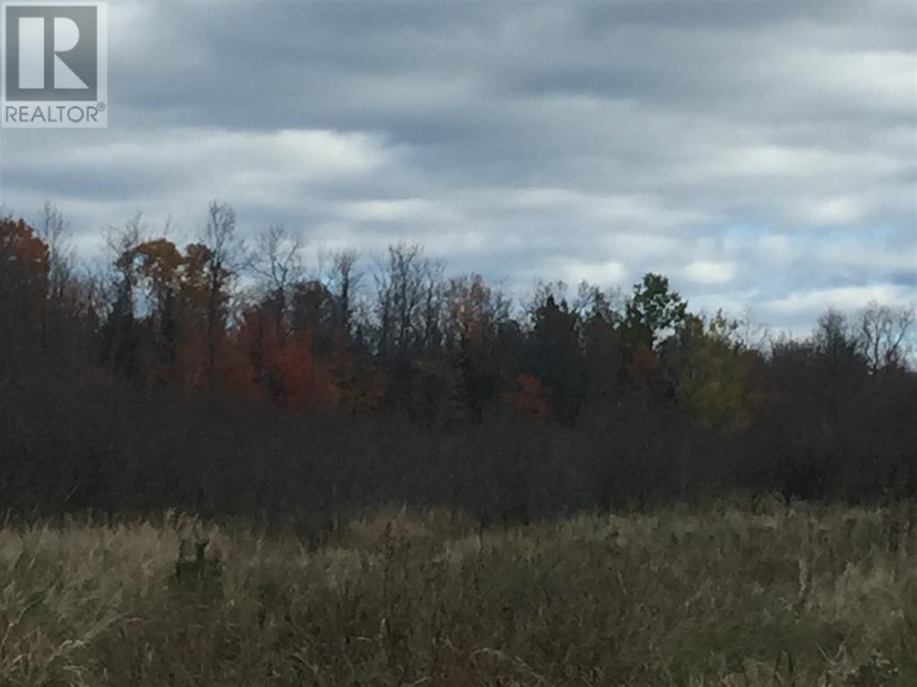 Lot 2 & 3 Con Nelson Dr, St. Joseph Island, Ontario  P0R 1G0 - Photo 14 - SM261323