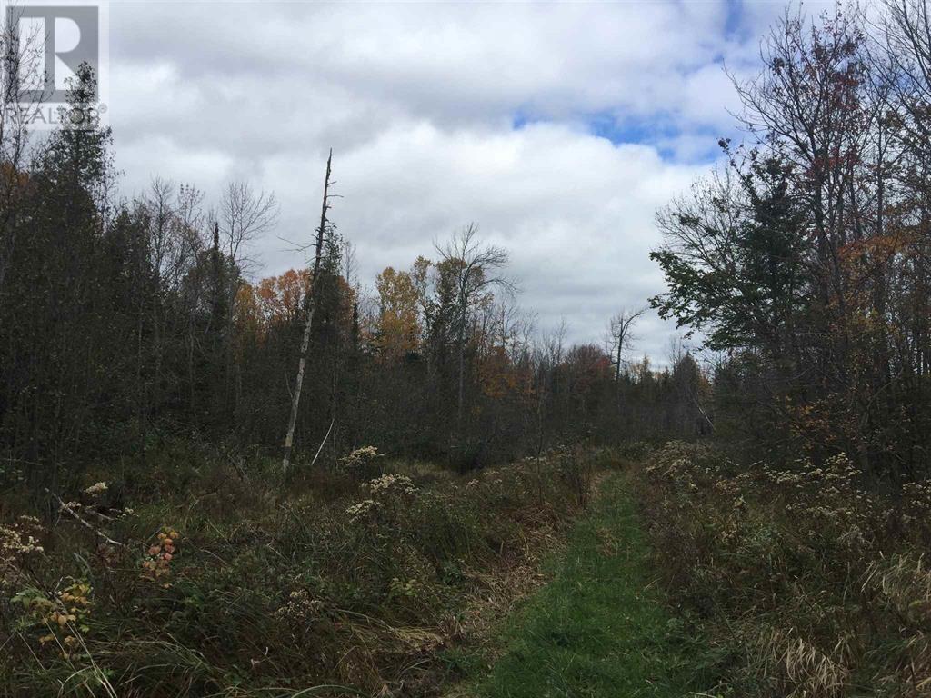 Lot 2 & 3 Con Nelson Dr, St. Joseph Island, Ontario  P0R 1G0 - Photo 15 - SM261323