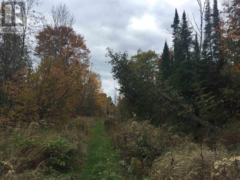 Lot 2 & 3 Con Nelson Dr, St. Joseph Island, Ontario  P0R 1G0 - Photo 16 - SM261323