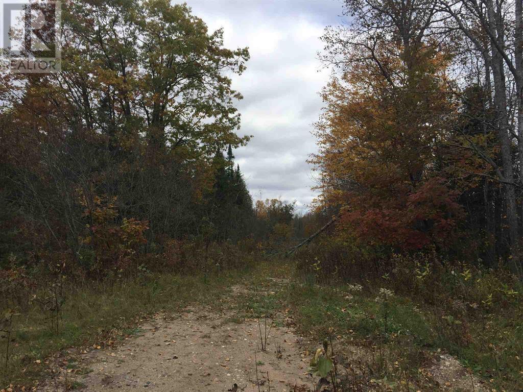 Lot 2 & 3 Con Nelson Dr, St. Joseph Island, Ontario  P0R 1G0 - Photo 18 - SM261323