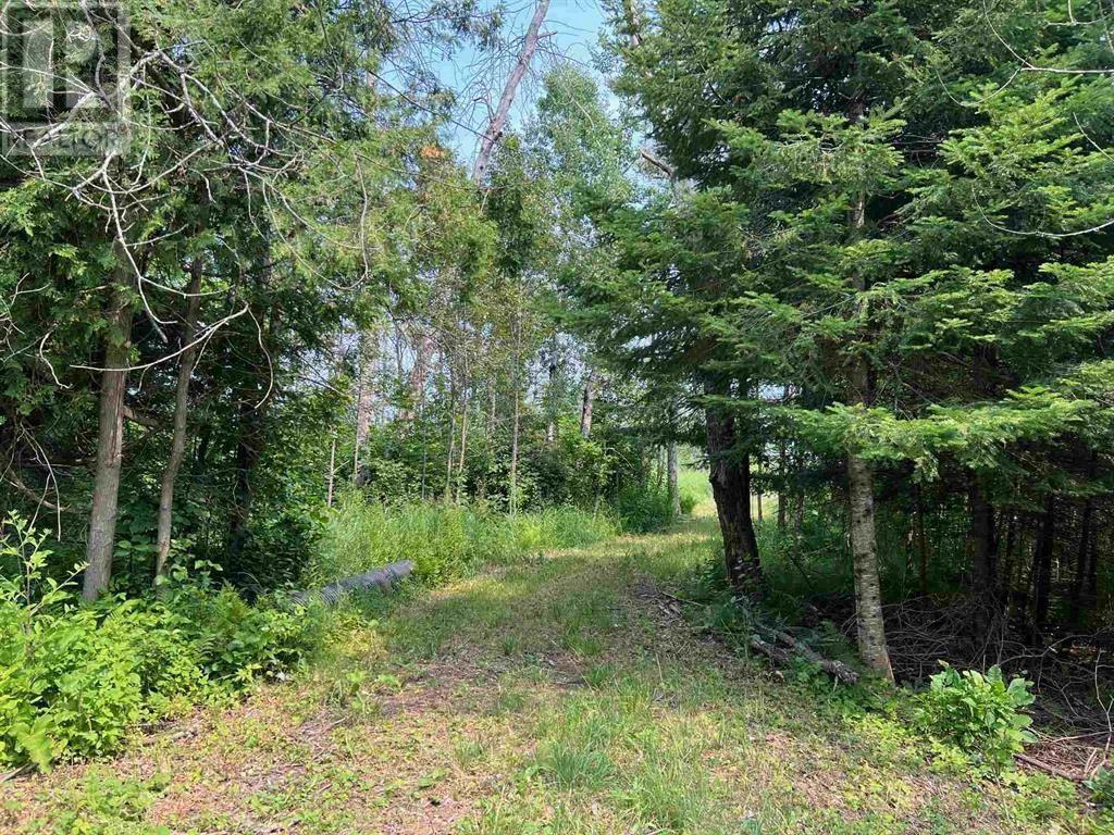 Lot 2 & 3 Con Nelson Dr, St. Joseph Island, Ontario  P0R 1G0 - Photo 2 - SM261323