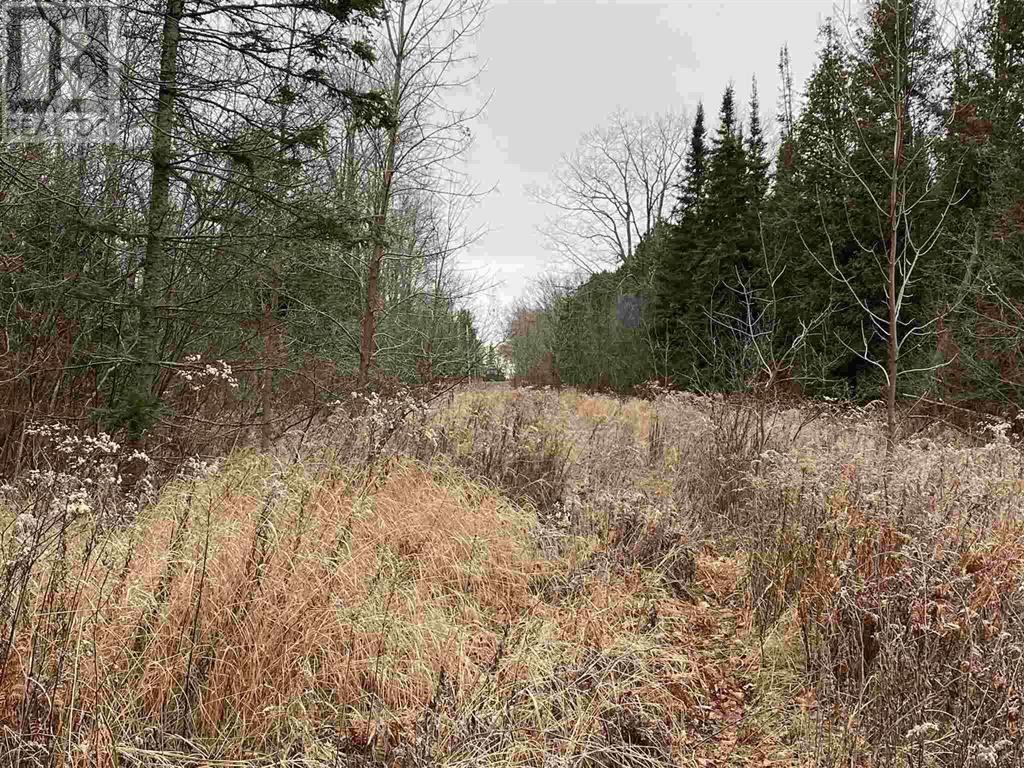 Lot 2 & 3 Con Nelson Dr, St. Joseph Island, Ontario  P0R 1G0 - Photo 20 - SM261323