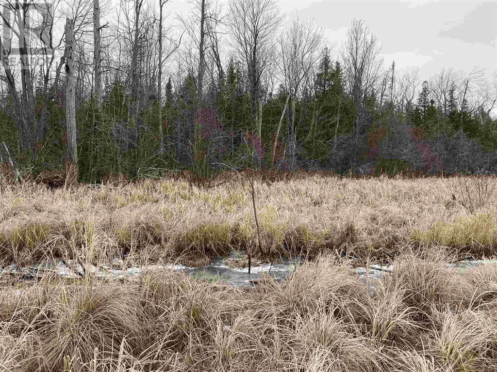 Lot 2 & 3 Con Nelson Dr, St. Joseph Island, Ontario  P0R 1G0 - Photo 4 - SM261323