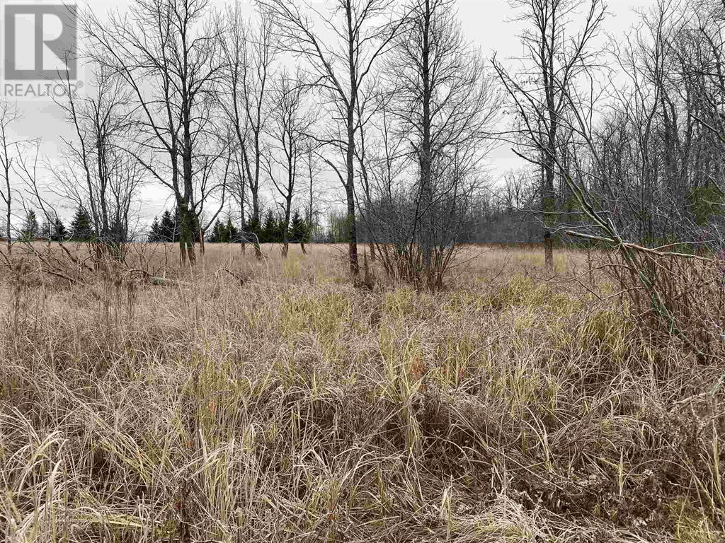 Lot 2 & 3 Con Nelson Dr, St. Joseph Island, Ontario  P0R 1G0 - Photo 5 - SM261323
