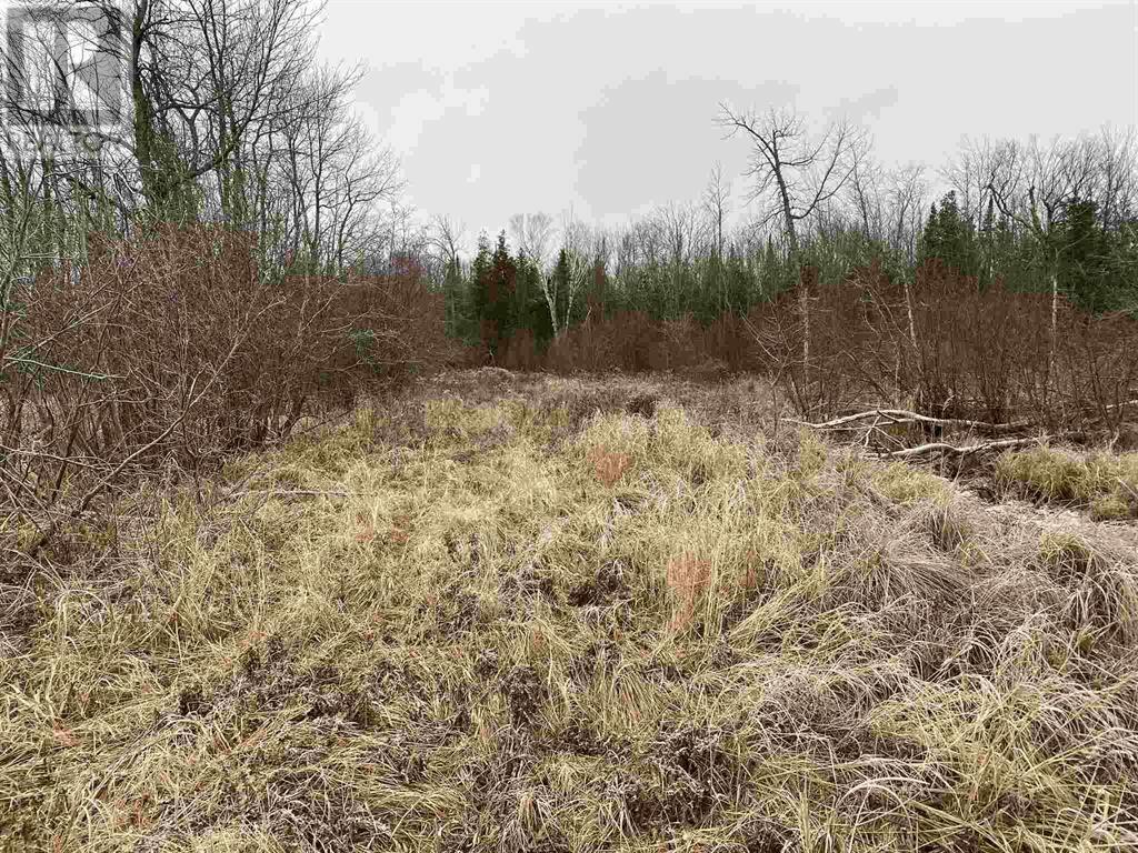 Lot 2 & 3 Con Nelson Dr, St. Joseph Island, Ontario  P0R 1G0 - Photo 6 - SM261323