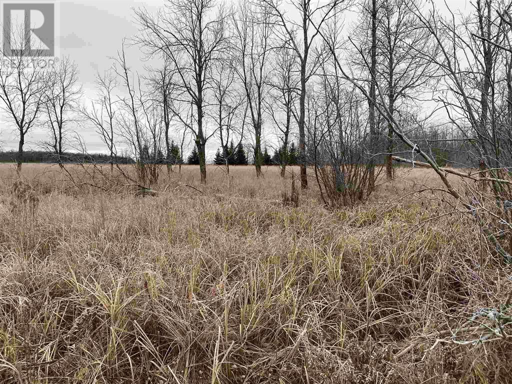 Lot 2 & 3 Con Nelson Dr, St. Joseph Island, Ontario  P0R 1G0 - Photo 8 - SM261323
