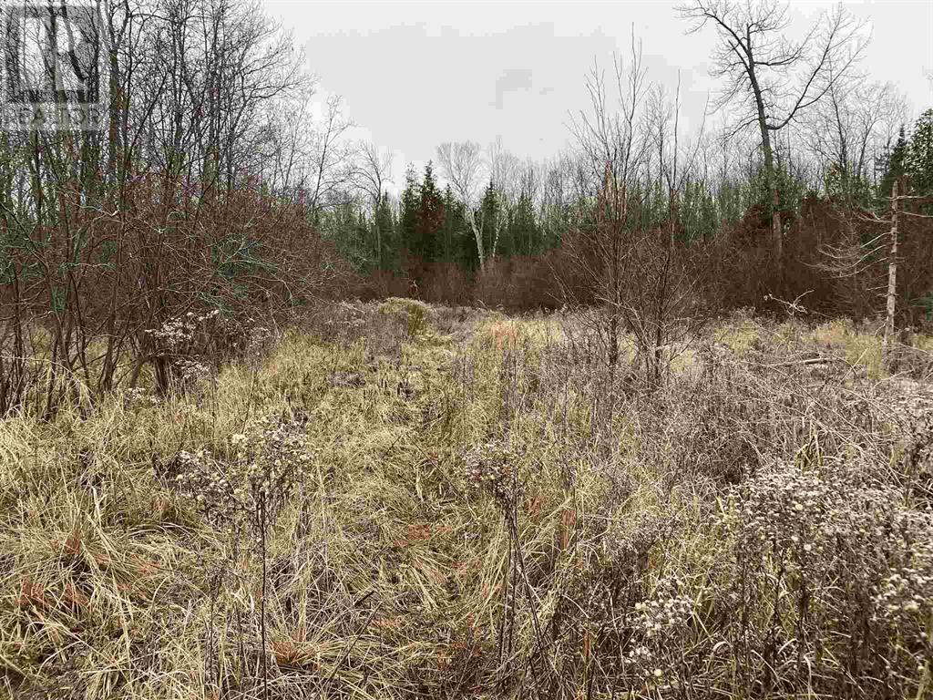 Lot 2 & 3 Con Nelson Dr, St. Joseph Island, Ontario  P0R 1G0 - Photo 9 - SM261323