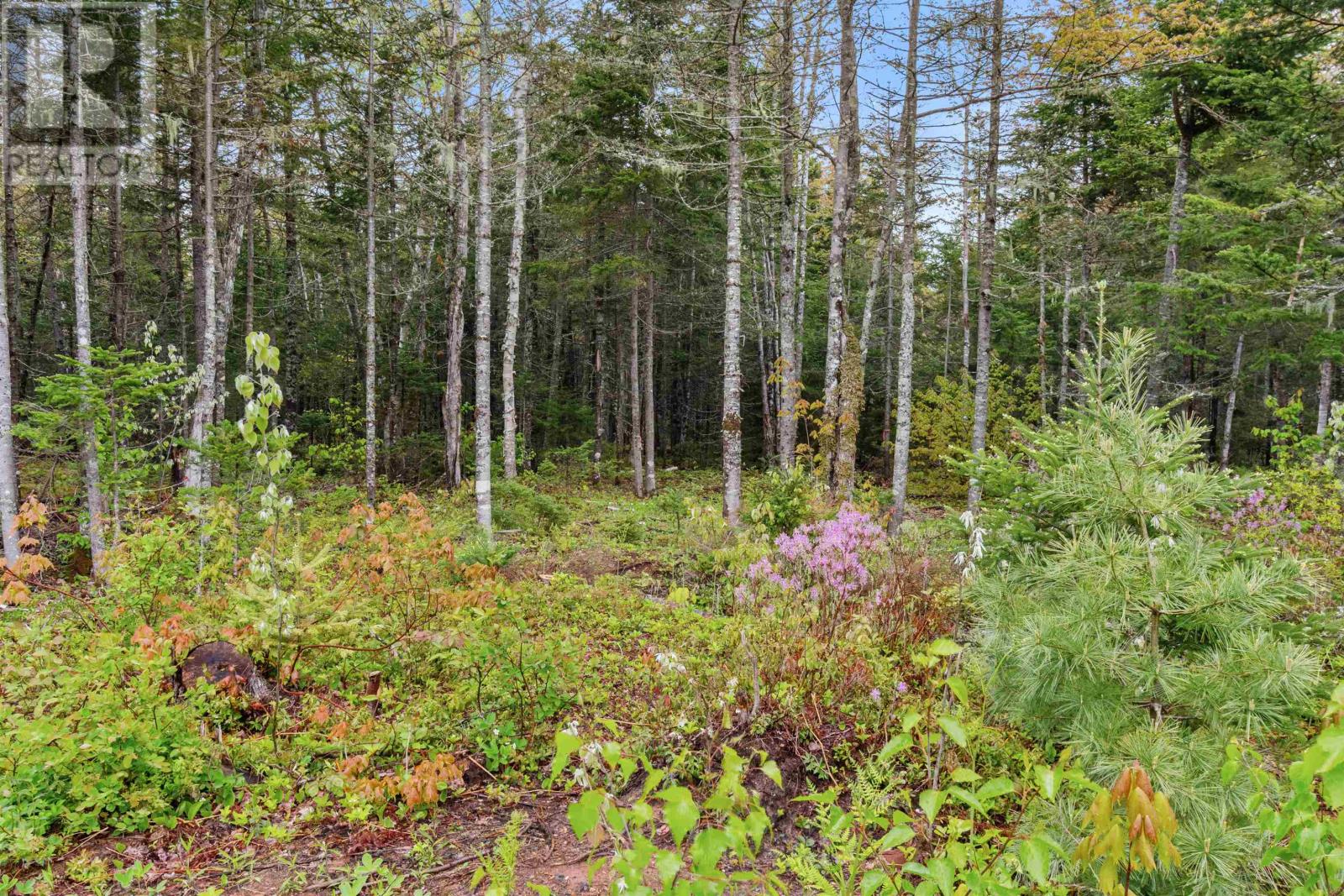 7220 Point Pleasant Road, Murray River, Prince Edward Island  C0A 1X0 - Photo 19 - 202613292