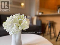 215 - 560 Front Street, Toronto, Ontario  M5V 1C1 - Photo 10 - C13241690