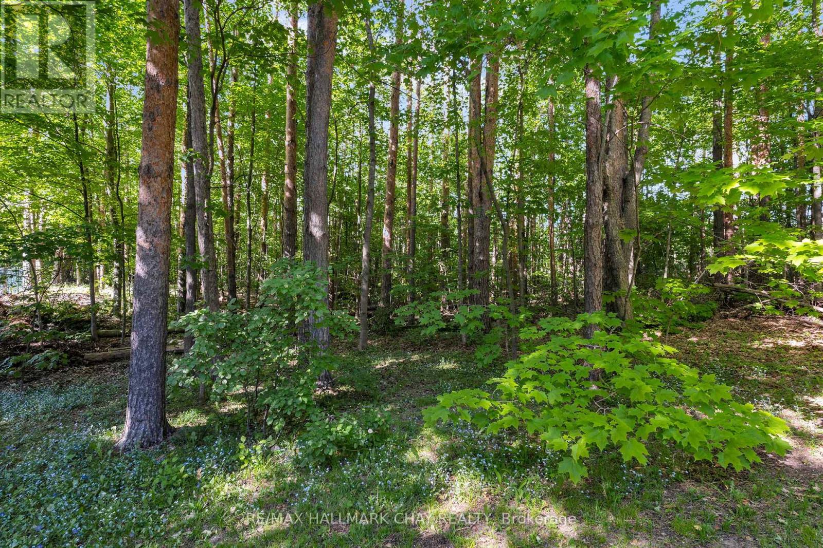 3724 Whitecap Drive, Innisfil, Ontario  L9S 2L4 - Photo 36 - N13241646