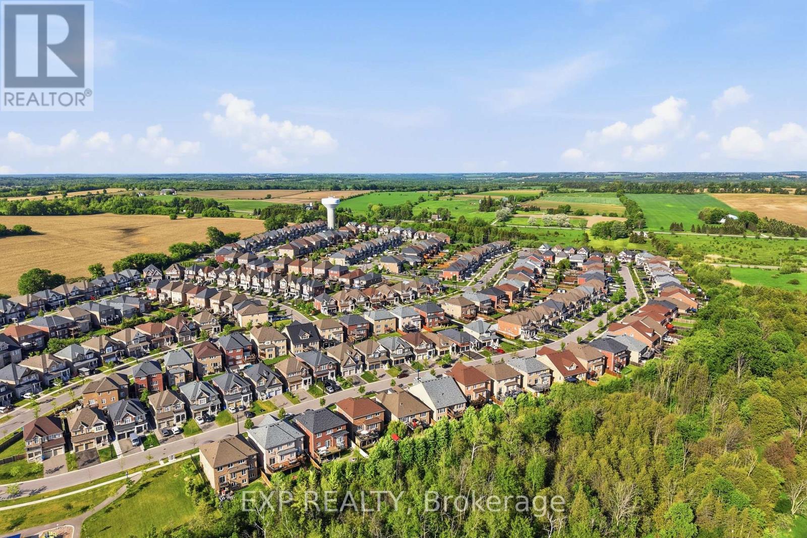25 Manor Forest Road, East Gwillimbury (Mt Albert), Ontario  L0G 1M0 - Photo 45 - N13241748