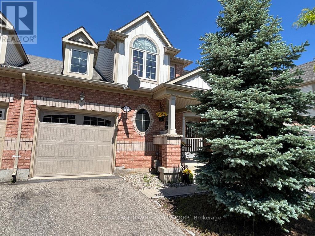 36 Van Fleet Terrace, Milton, Ontario  L9T 0Y4 - Photo 1 - W13241812