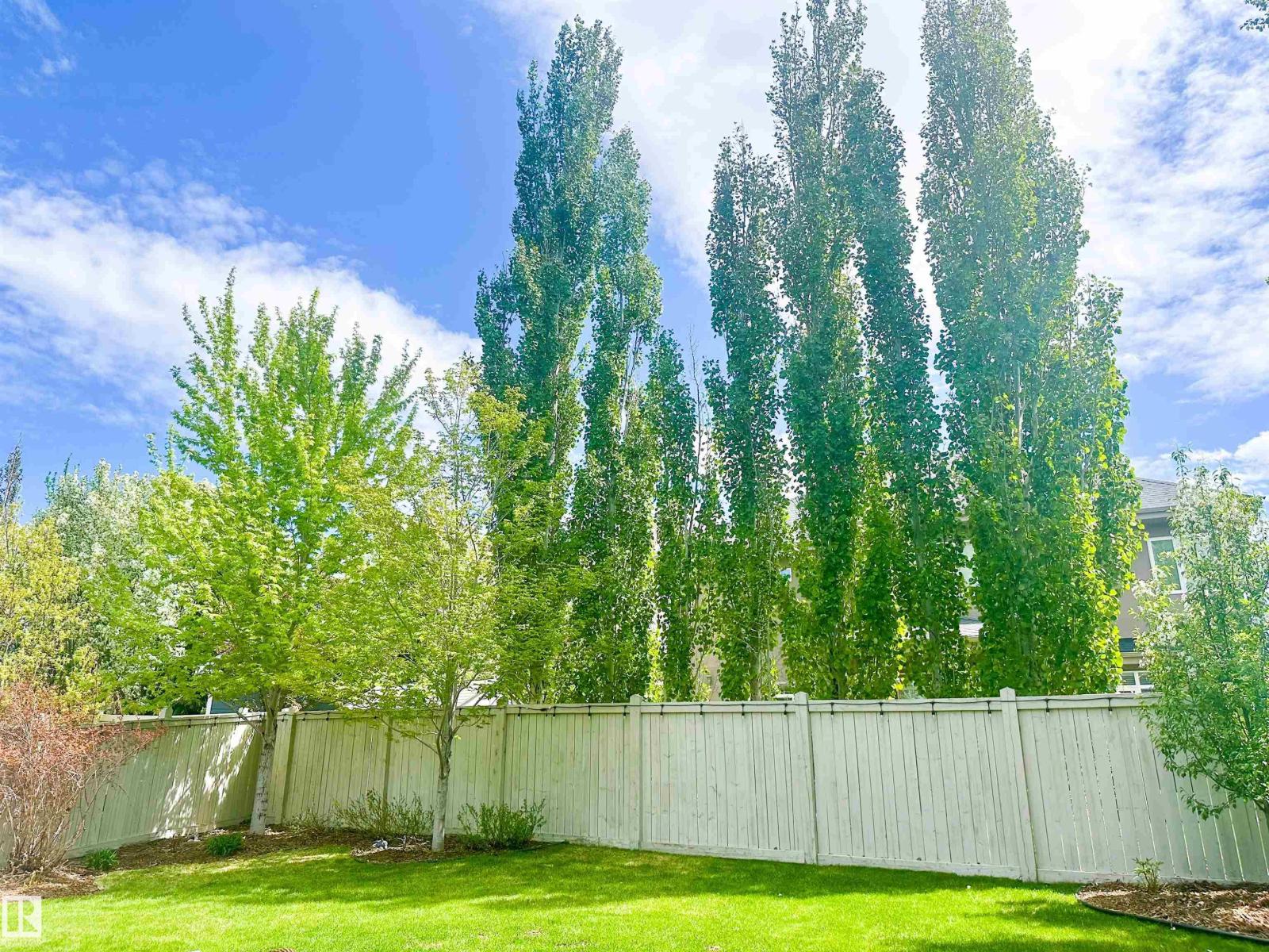 2551 Cameron Ravine Ld NW, Edmonton, Alberta  T6M 0L2 - Photo 63 - E4487795