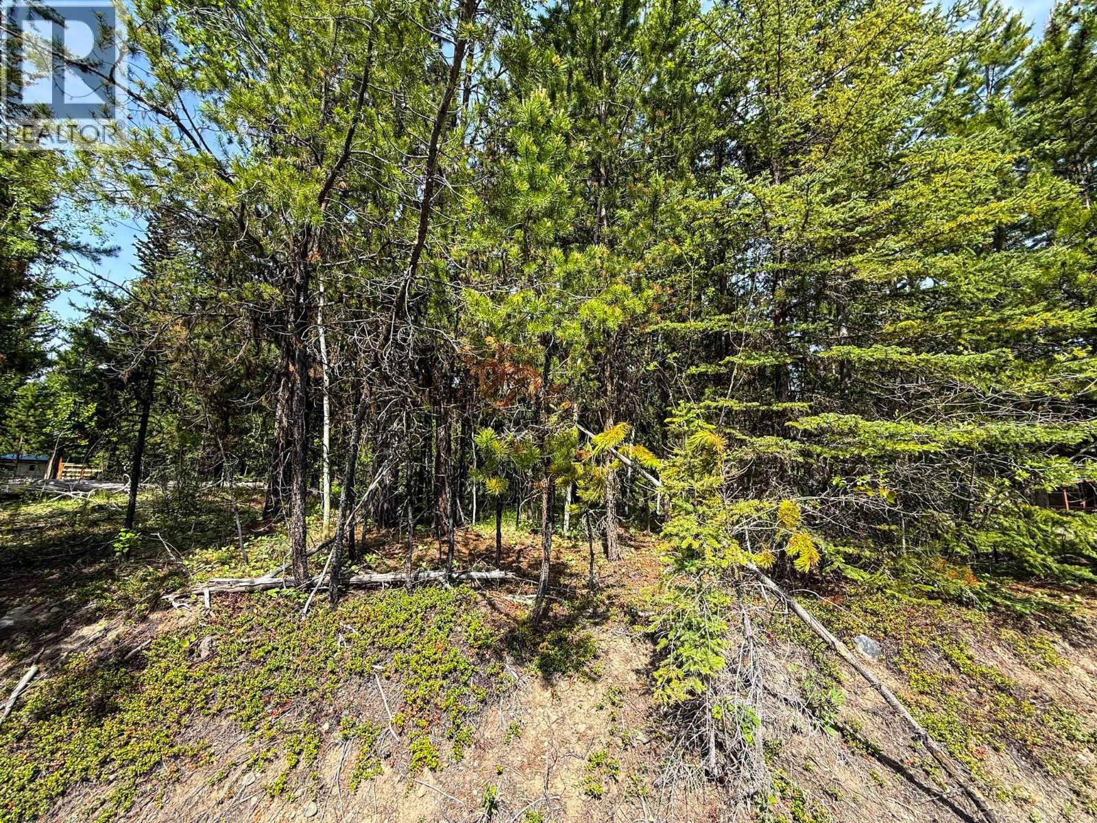 7083 Salter Road, Sheridan Lake, British Columbia  V0K 1X1 - Photo 1 - R3132283