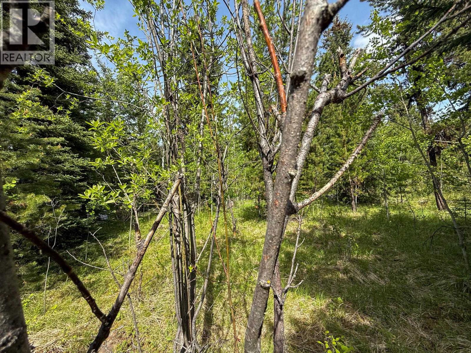 7083 Salter Road, Sheridan Lake, British Columbia  V0K 1X1 - Photo 10 - R3132283