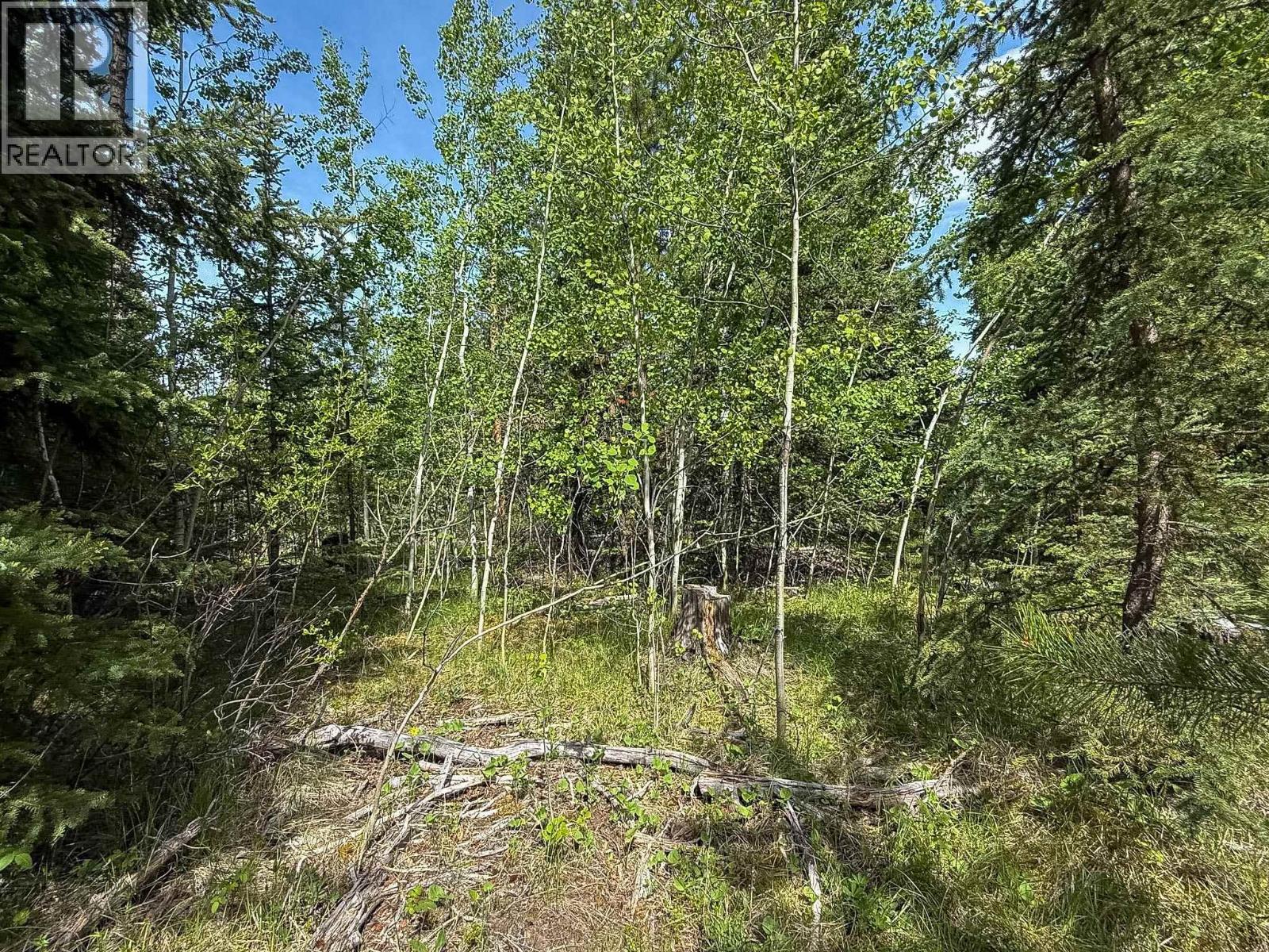 7083 Salter Road, Sheridan Lake, British Columbia  V0K 1X1 - Photo 12 - R3132283