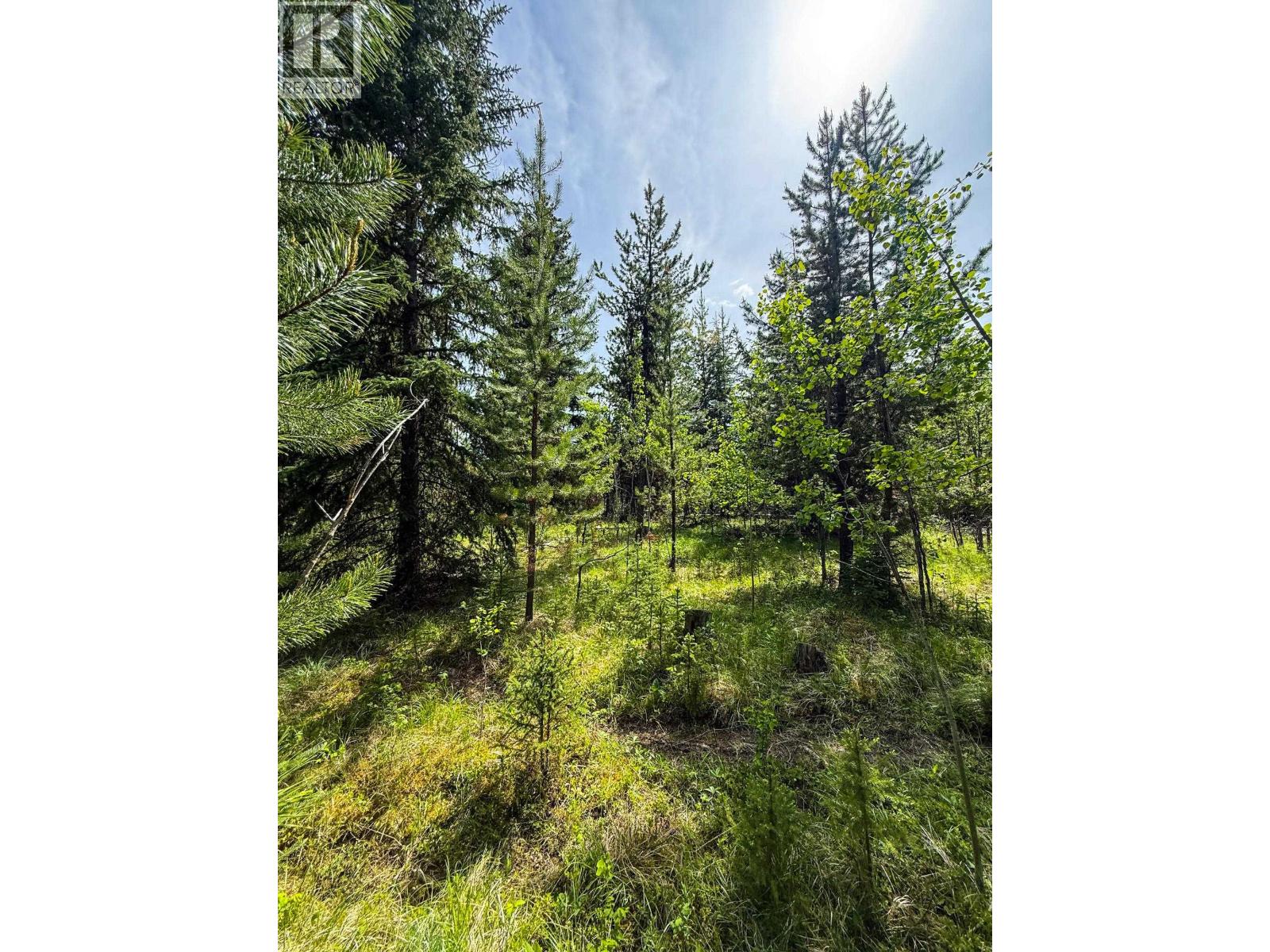 7083 Salter Road, Sheridan Lake, British Columbia  V0K 1X1 - Photo 13 - R3132283