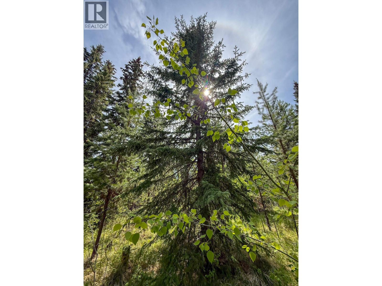 7083 Salter Road, Sheridan Lake, British Columbia  V0K 1X1 - Photo 15 - R3132283