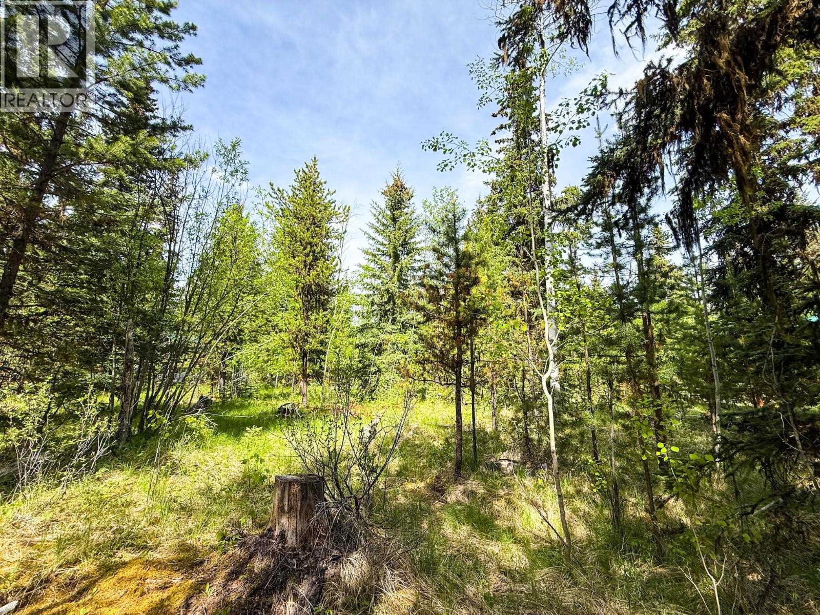 7083 Salter Road, Sheridan Lake, British Columbia  V0K 1X1 - Photo 4 - R3132283