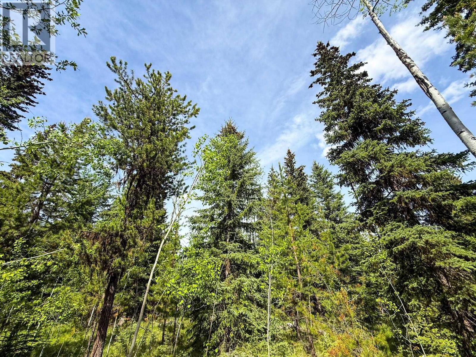 7083 Salter Road, Sheridan Lake, British Columbia  V0K 1X1 - Photo 6 - R3132283