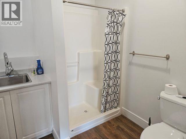 2995 Idler Road, Nakusp, British Columbia  V0G 1R1 - Photo 7 - 10390021