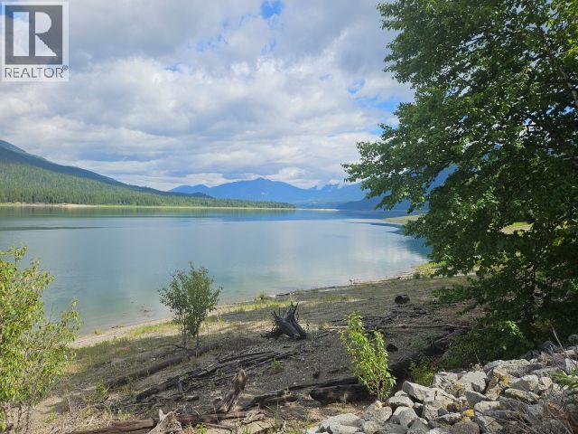 2995 Idler Road, Nakusp, British Columbia  V0G 1R1 - Photo 3 - 10390021