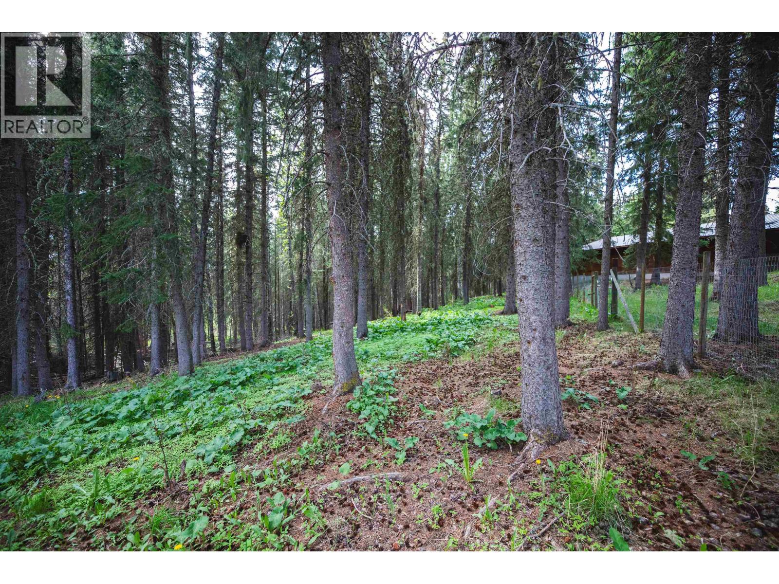 8262 Wilson Lake Road, Bridge Lake, British Columbia  V0K 1X2 - Photo 38 - R3130273