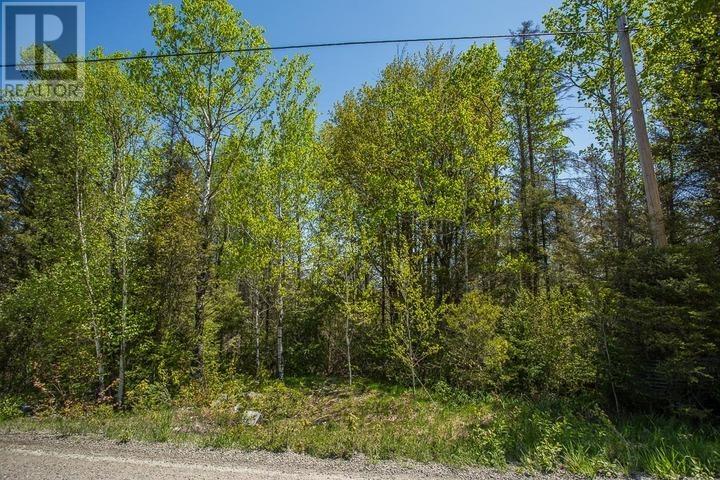 Highway 17 East At Hopper Road, Thessalon, Ontario  P0R 1C0 - Photo 18 - SM261325