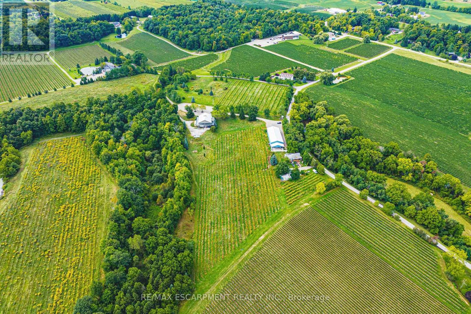 4041 Locust Lane, Lincoln, Ontario  L0R 1B2 - Photo 28 - X13242254