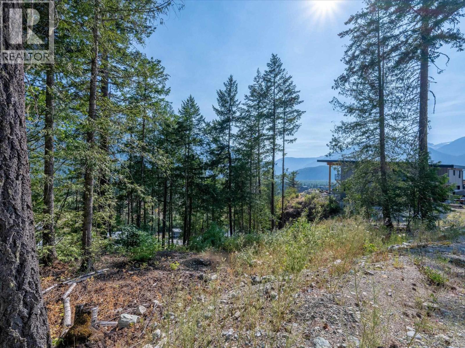 8206 Merlot Peak Drive, Pemberton, British Columbia  V0N 2L3 - Photo 12 - R3132305