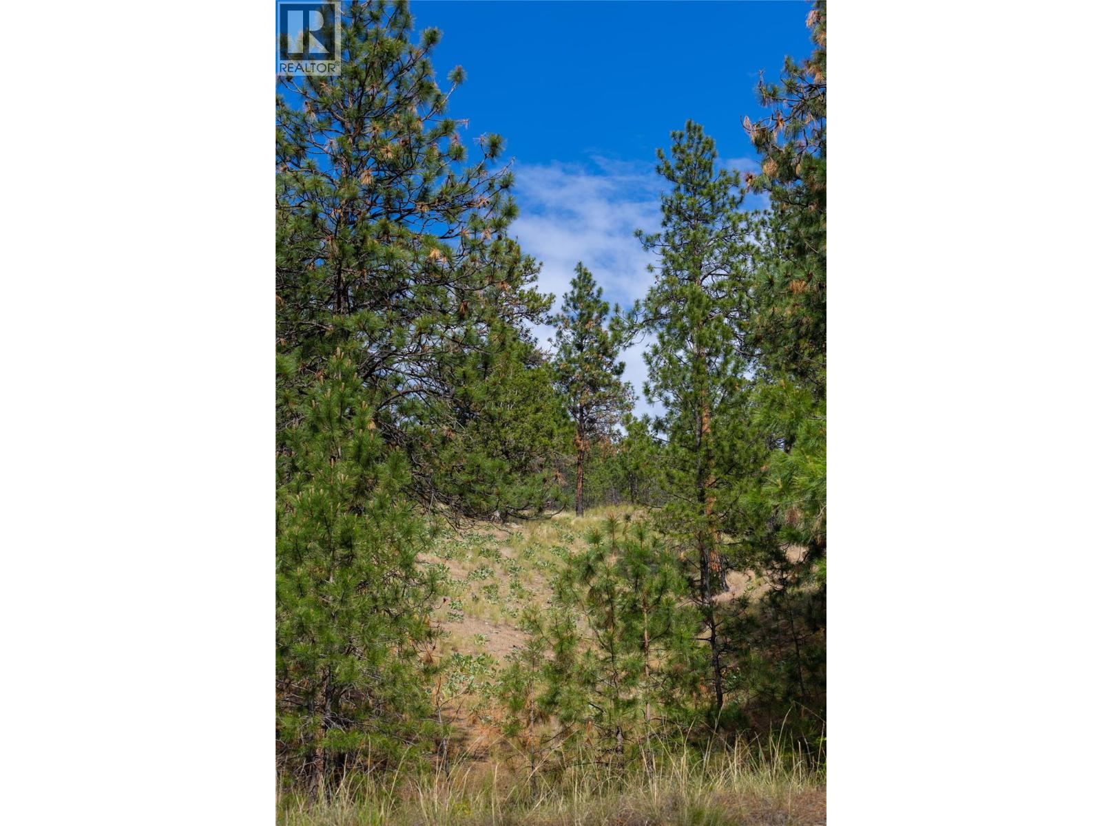 Lot A Okanagan Centre Road W Lake Country Photo 12