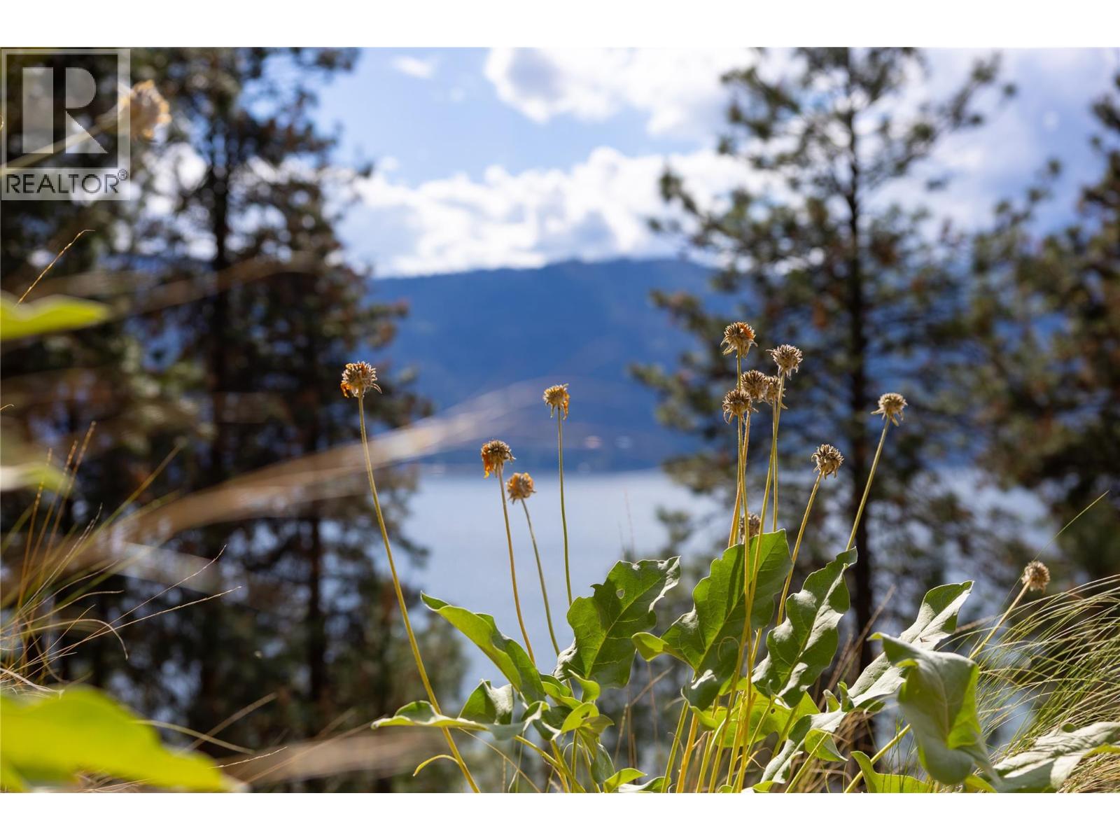 Lot A Okanagan Centre Road W Lake Country Photo 47