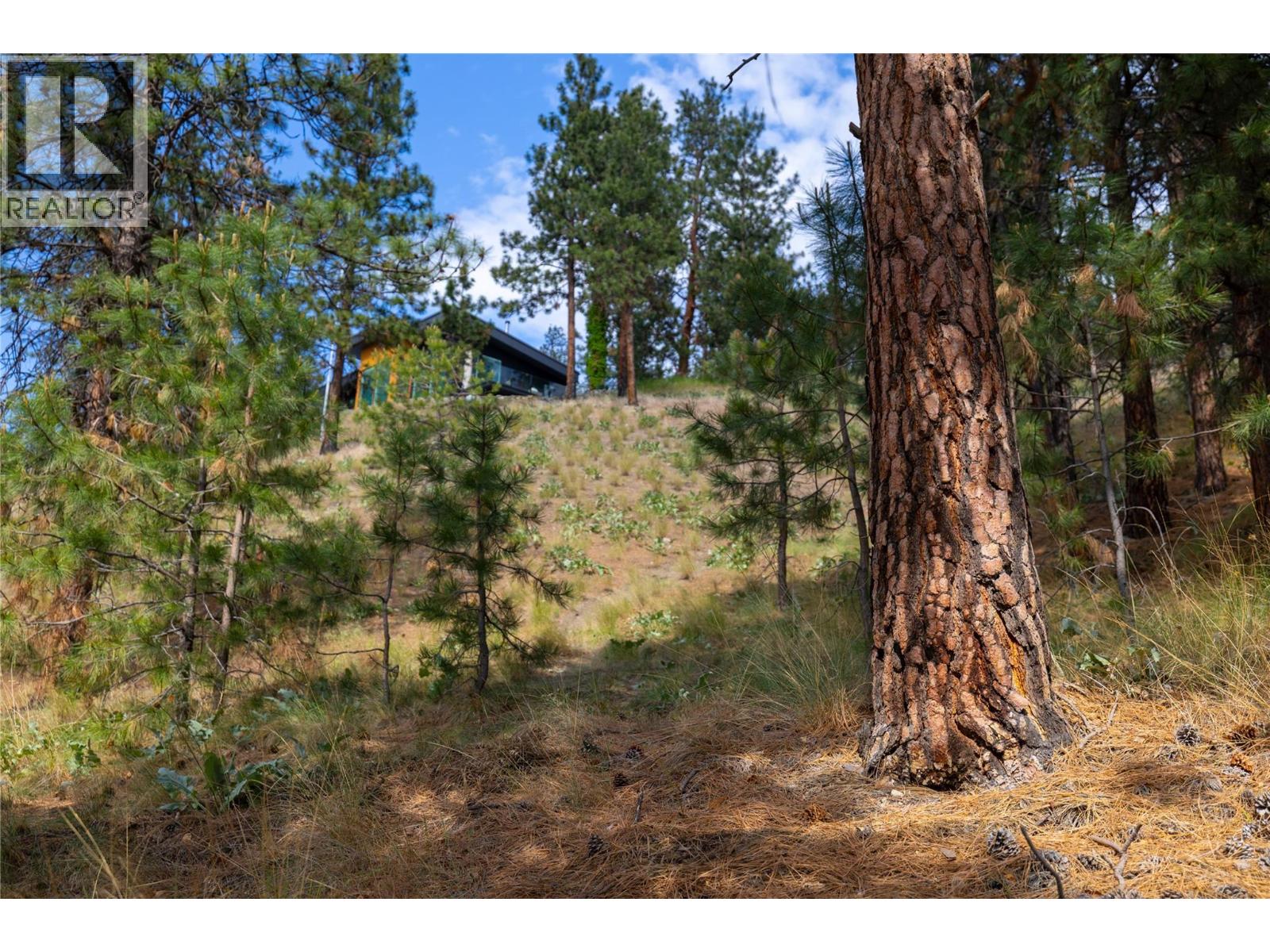 Lot A Okanagan Centre Road W Lake Country Photo 16