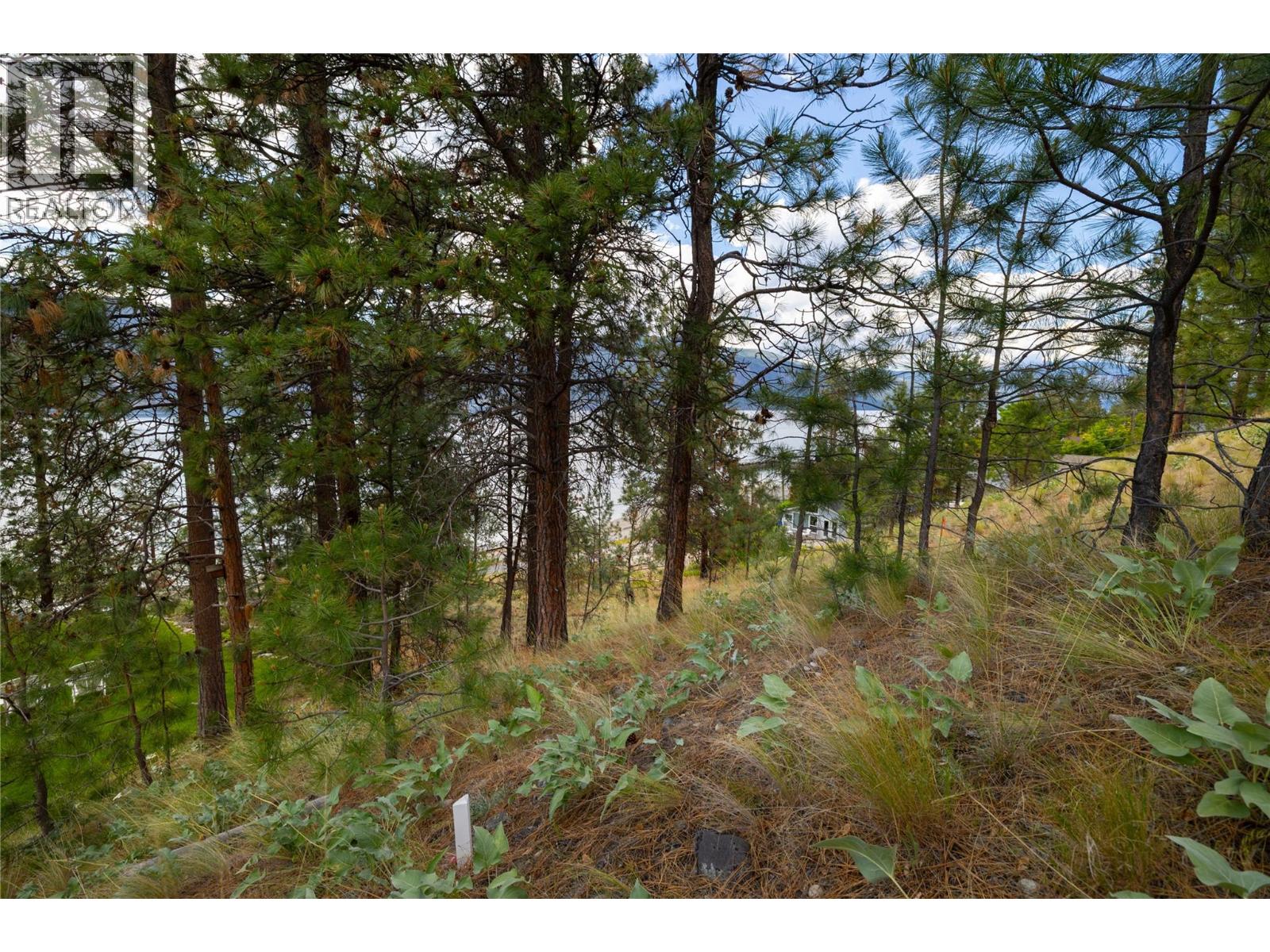 Lot A Okanagan Centre Road W Lake Country Photo 17