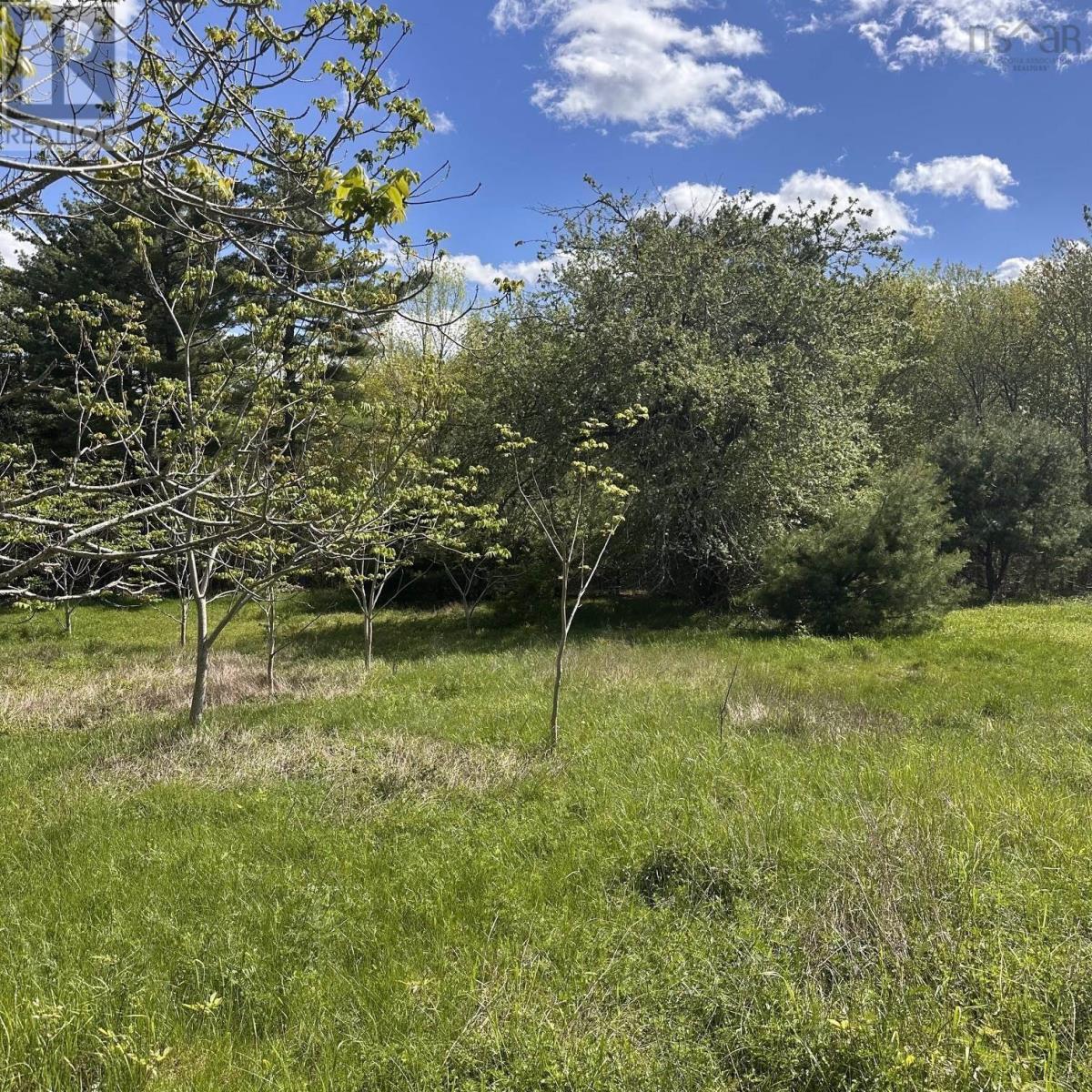 Lot (Pid 70130604) Wellington Road, Buckfield, Nova Scotia  B0T 1E0 - Photo 11 - 202612973