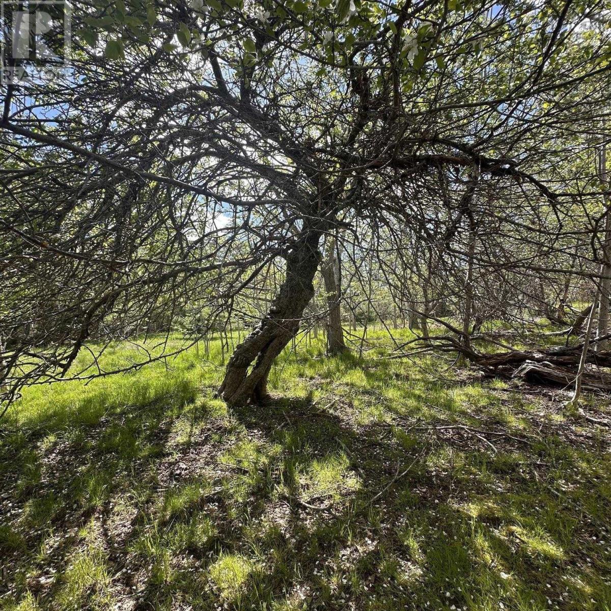 Lot (Pid 70130604) Wellington Road, Buckfield, Nova Scotia  B0T 1E0 - Photo 10 - 202612973
