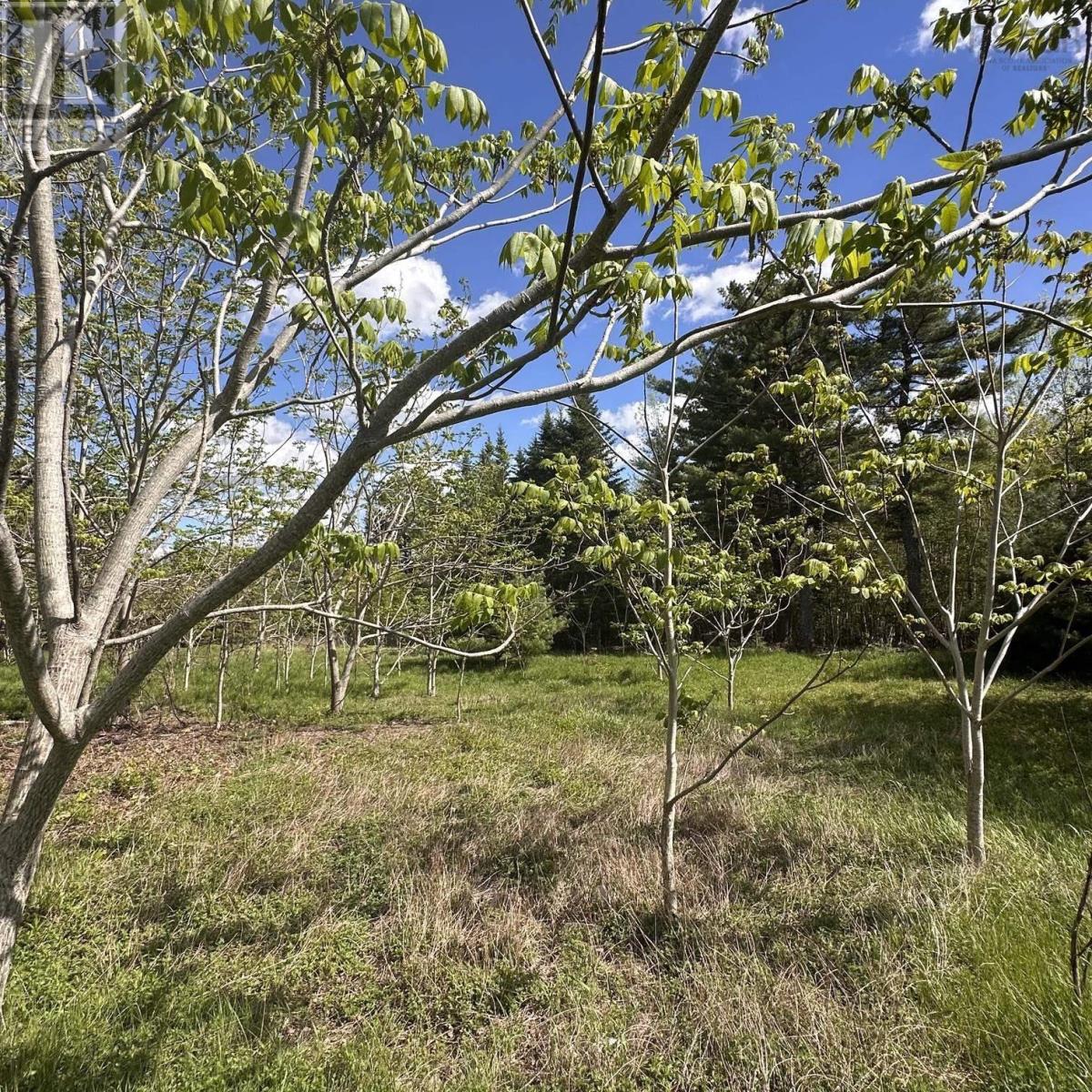 Lot (Pid 70130604) Wellington Road, Buckfield, Nova Scotia  B0T 1E0 - Photo 12 - 202612973