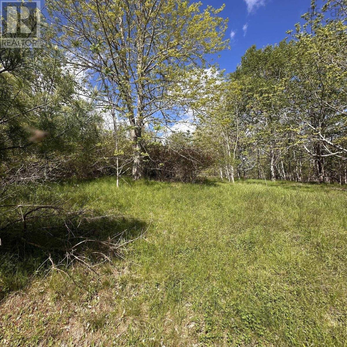 Lot (Pid 70130604) Wellington Road, Buckfield, Nova Scotia  B0T 1E0 - Photo 4 - 202612973
