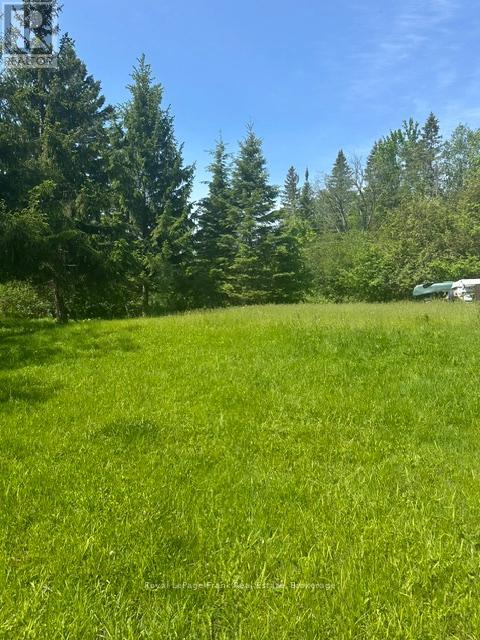 31 Fire Route 109 Route, Trent Lakes, Ontario  K0M 1A0 - Photo 7 - X13224788