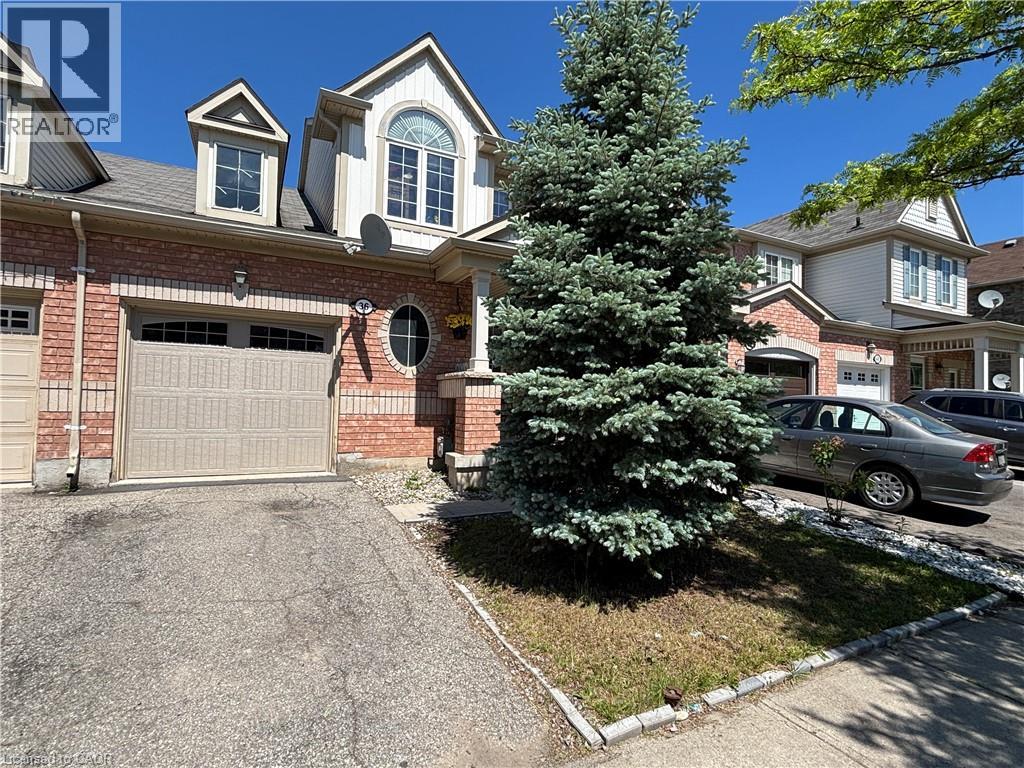 36 Van Fleet Terrace, Milton, Ontario  L9T 0Y4 - Photo 1 - 40836600