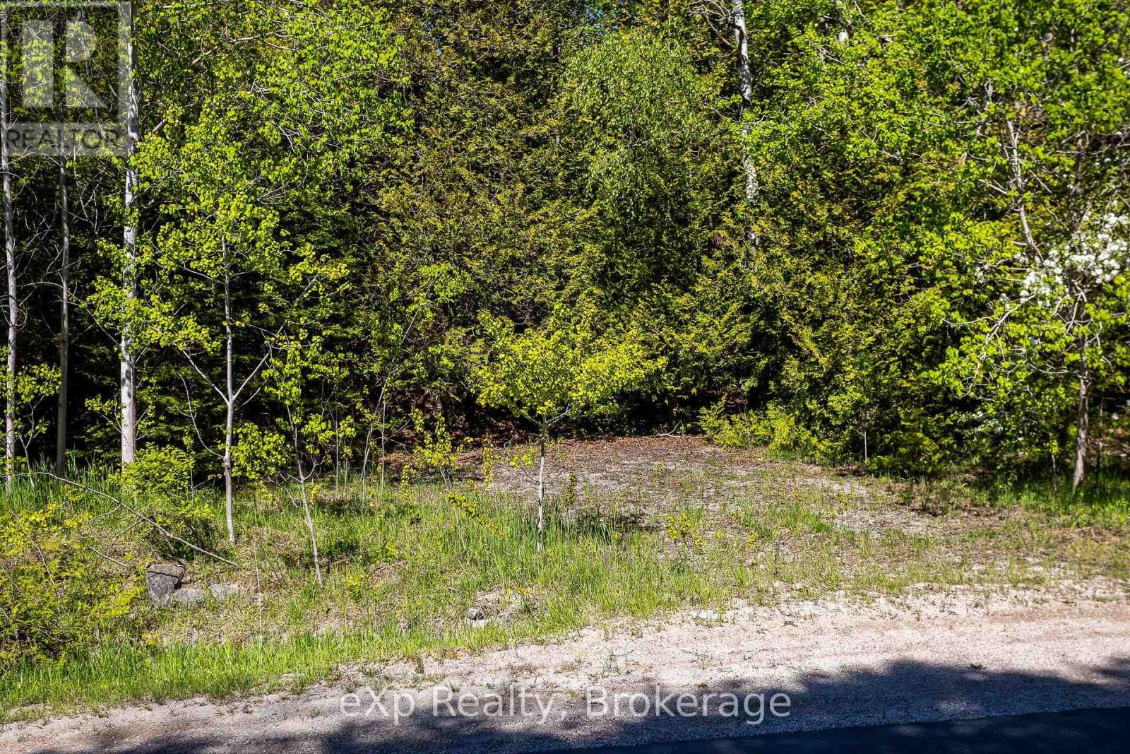 205 East Road, Northern Bruce Peninsula, Ontario N0H 1W0 - Photo 19 - X13242740