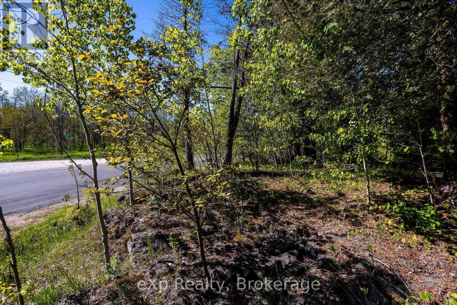 205 East Road, Northern Bruce Peninsula, Ontario N0H 1W0 - Photo 20 - X13242740