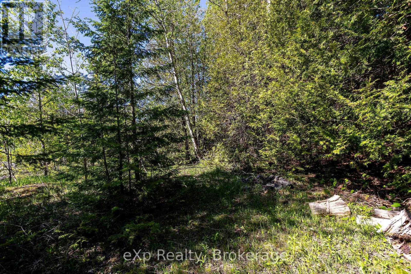 205 East Road, Northern Bruce Peninsula, Ontario N0H 1W0 - Photo 21 - X13242740