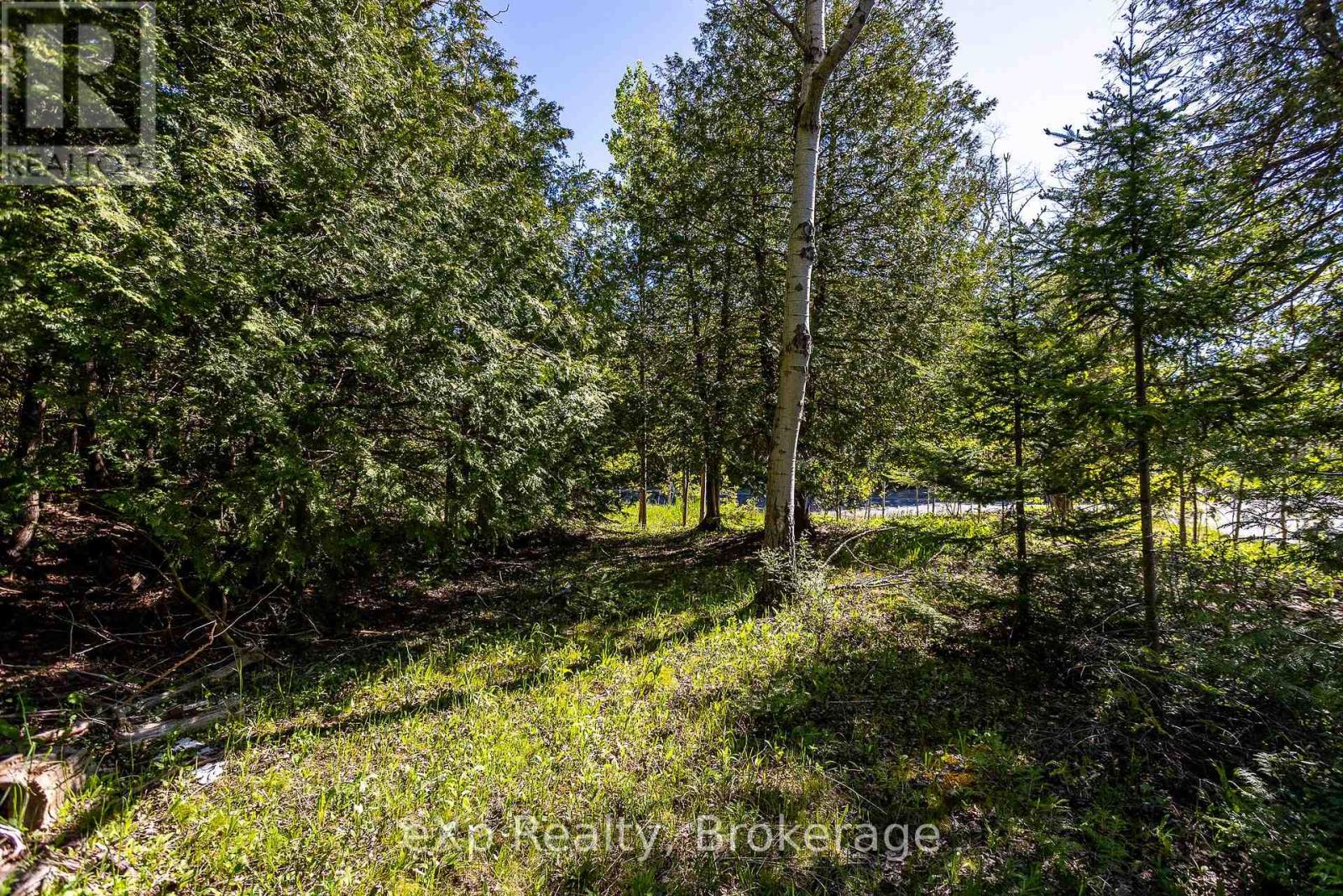205 East Road, Northern Bruce Peninsula, Ontario N0H 1W0 - Photo 22 - X13242740