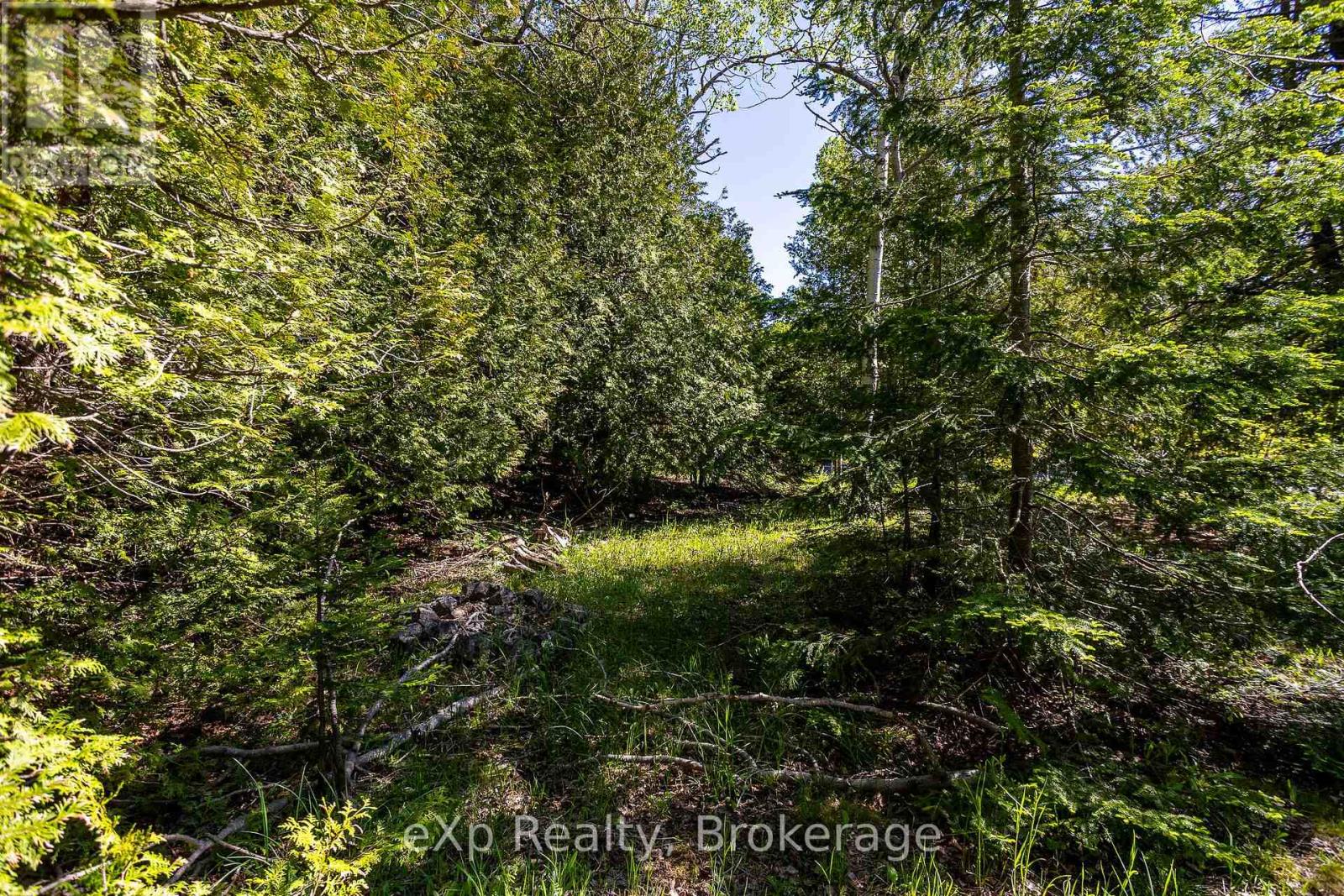 205 East Road, Northern Bruce Peninsula, Ontario N0H 1W0 - Photo 23 - X13242740