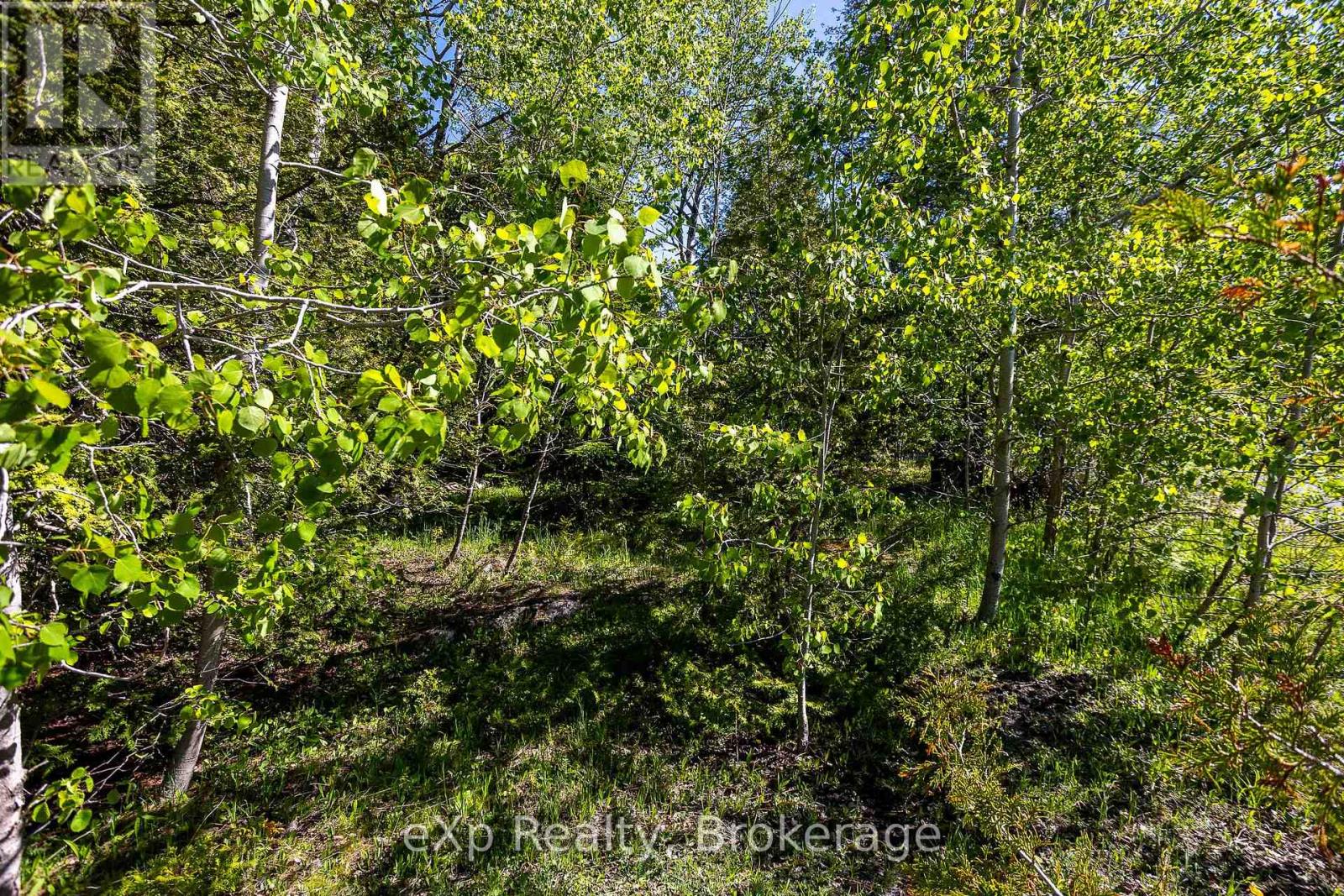 205 East Road, Northern Bruce Peninsula, Ontario N0H 1W0 - Photo 24 - X13242740
