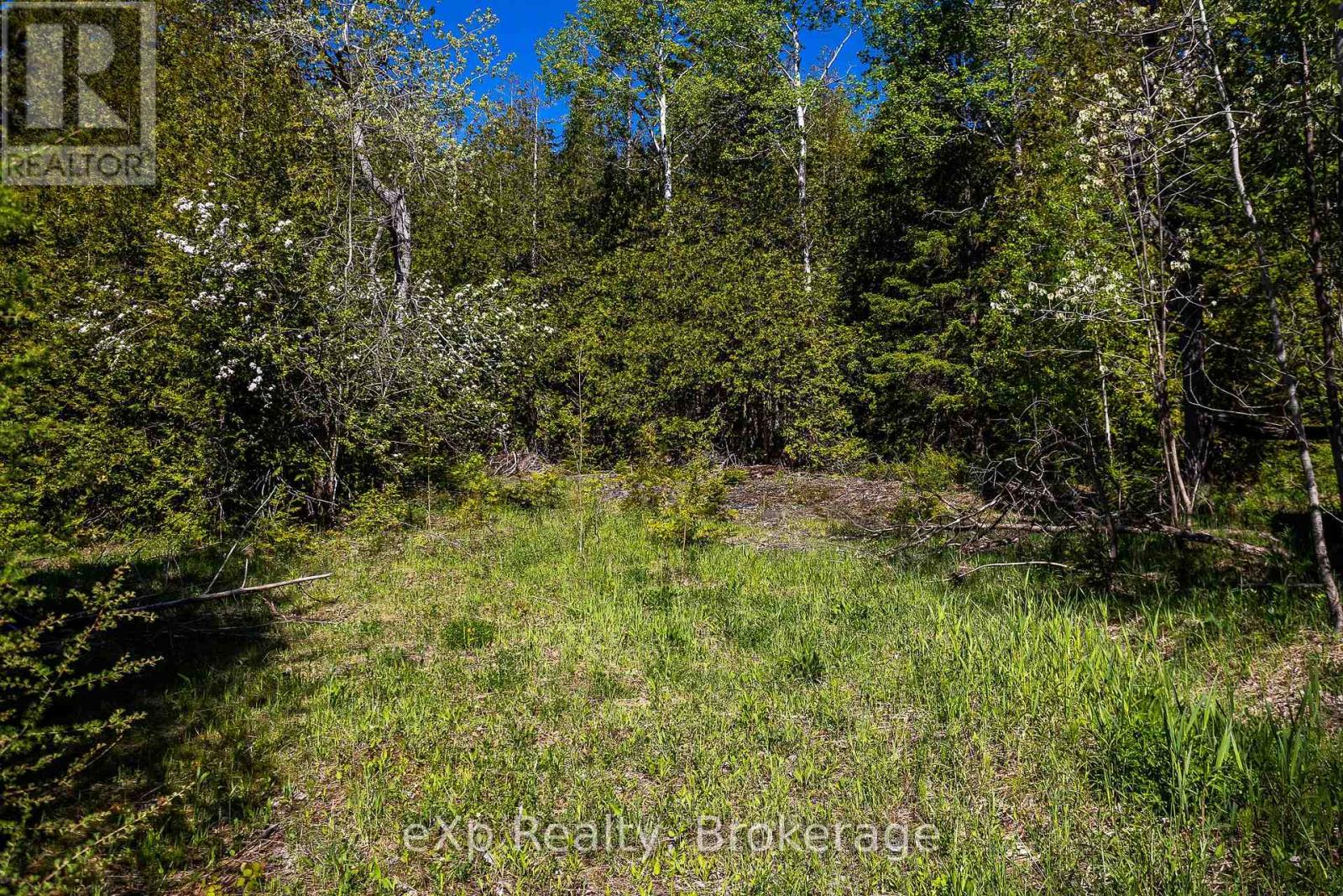 205 East Road, Northern Bruce Peninsula, Ontario N0H 1W0 - Photo 7 - X13242740