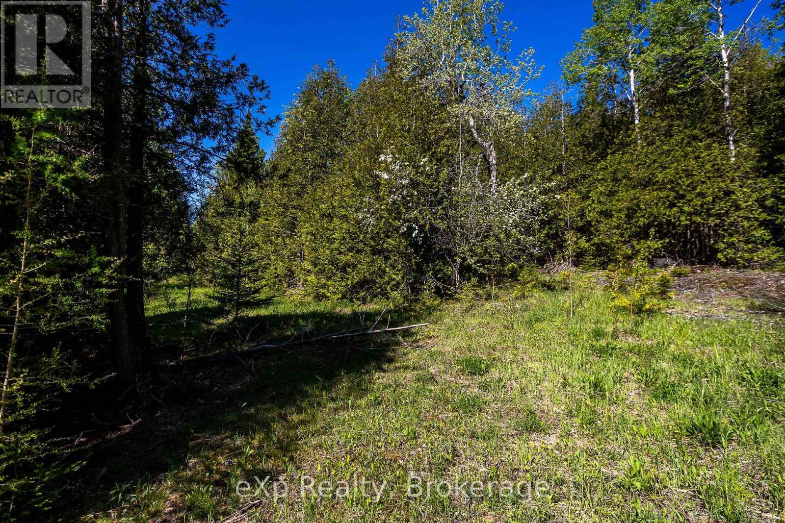 205 East Road, Northern Bruce Peninsula, Ontario N0H 1W0 - Photo 8 - X13242740
